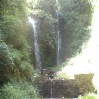 Ridhabhi Homestay In Shimla, Himachal Pradesh, Shimla 3